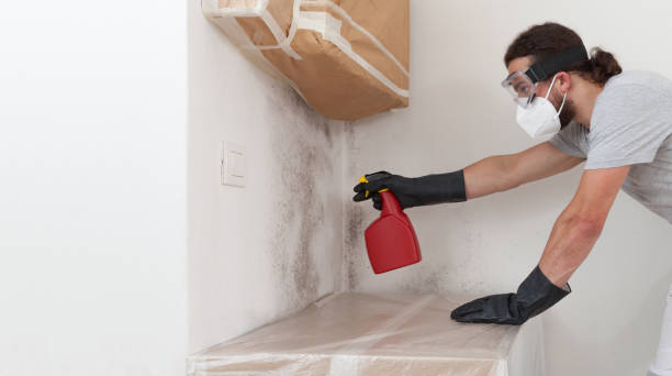 Professional Crawl Space Mold Removal technician working in Edgewater, NJ