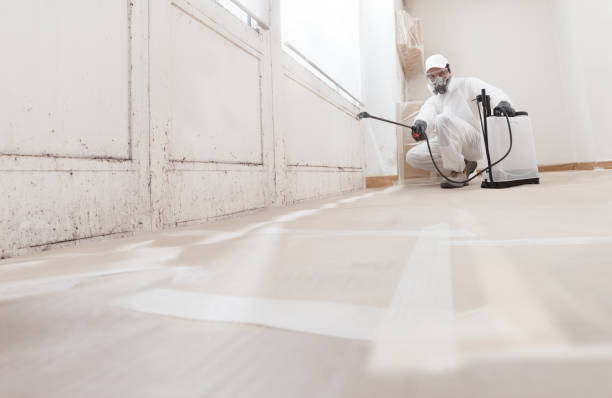 24/7 Emergency Crawl Space Mold Removal experts in Edgewater, NJ